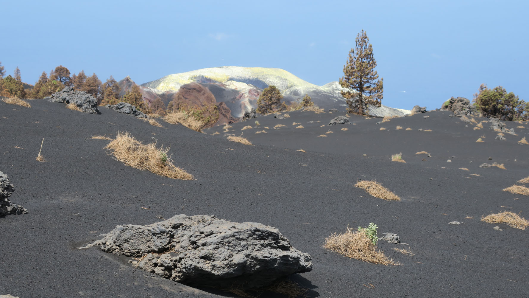 Vulkan-Exkursion La Palma - am 9. Juni 2022